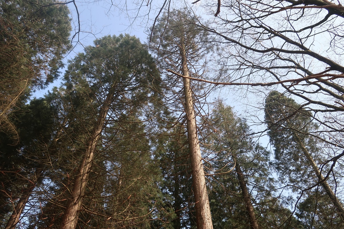 Wandern5